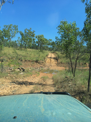 Illustration for article titled AWOL Around Australia... Lorella Springs Station.